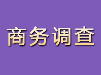 梁子湖商务调查